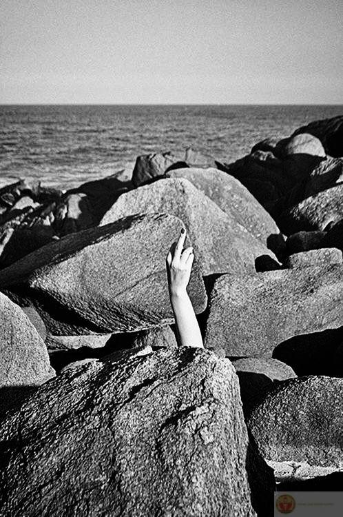 Meme fuck xuất hiện nhiều trong group chế hài vì tính mỉa mai dí dỏm thú vị