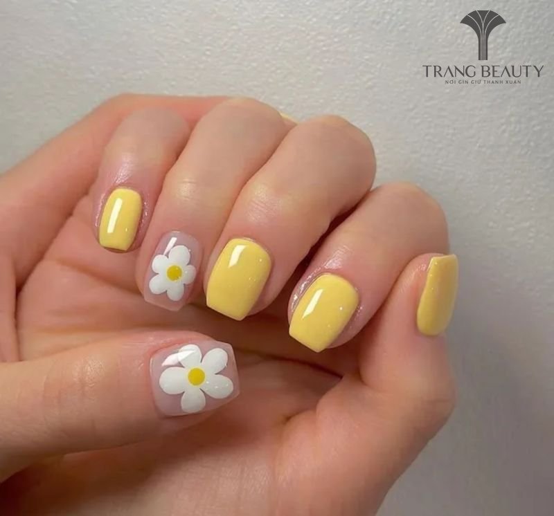 Móng trơn vàng hình hoa cúc