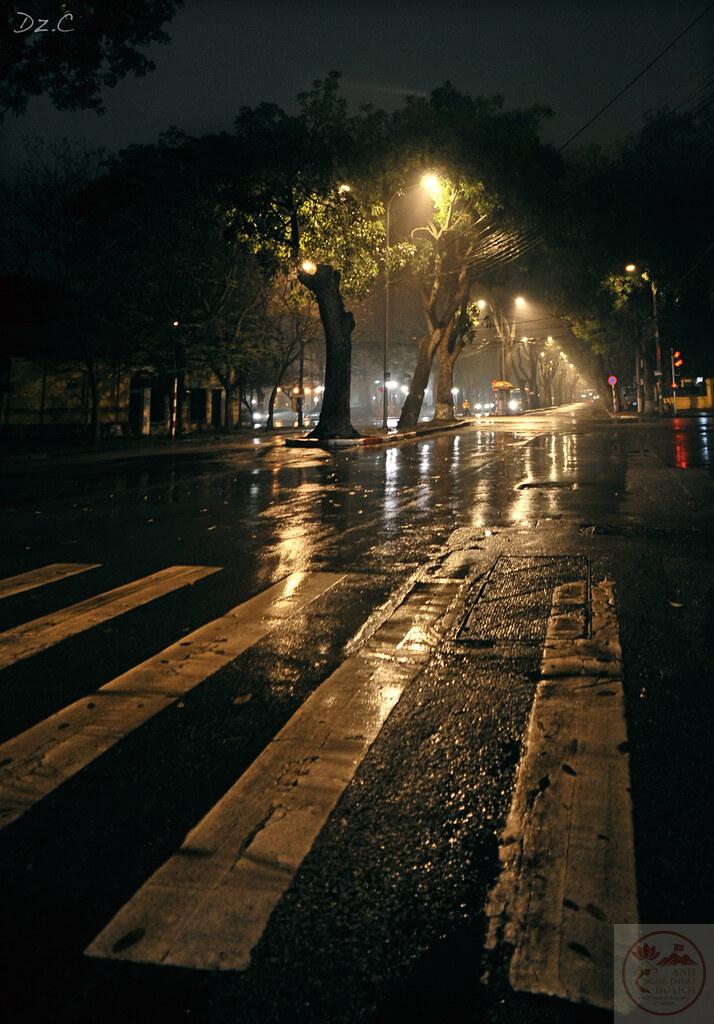 Ánh đèn vàng phản chiếu trên phố mưa đêm Hà Nội thật lung linh
