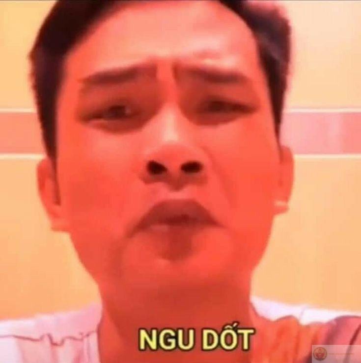 Ngu dốt meme