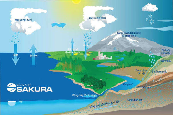 Một số giai đoạn của chu trình nước