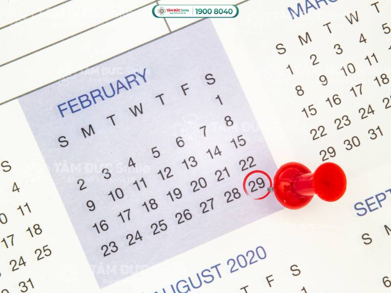 Một năm có bao nhiêu ngày? Tìm hiểu về năm thường, năm nhuận và lịch dương