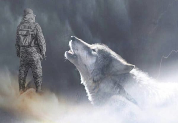 sói cô độc tiếng anh