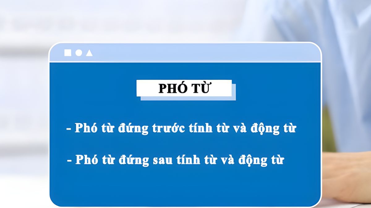 Trật tự của phó từ trong câu