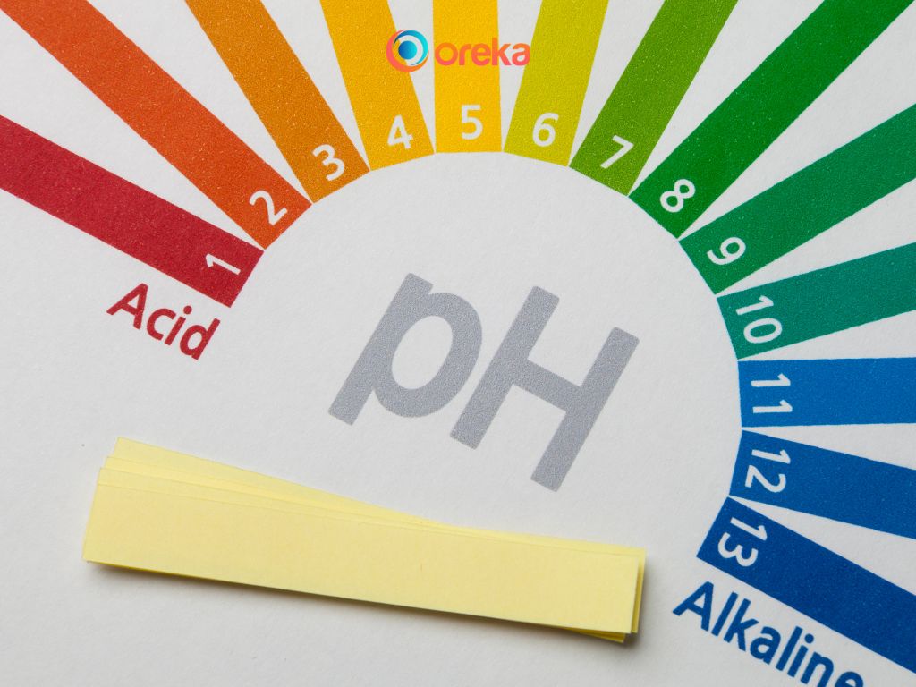 Tác Nhân Chủ Yếu Gây Mưa Axit Là Gì? 