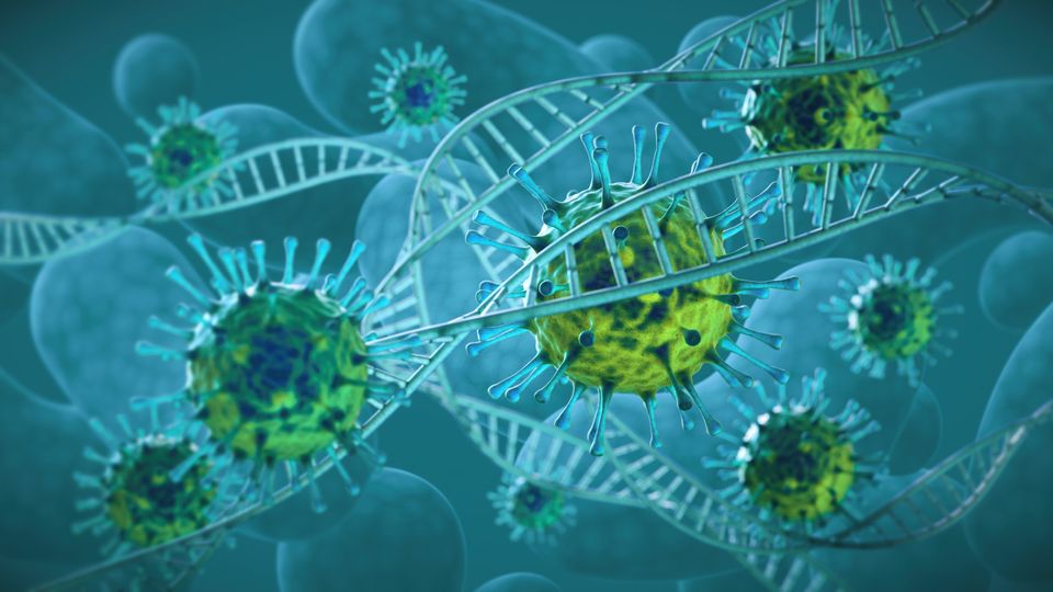 Thể đột biến là gì? Khám phá chi tiết về đột biến trong sinh học