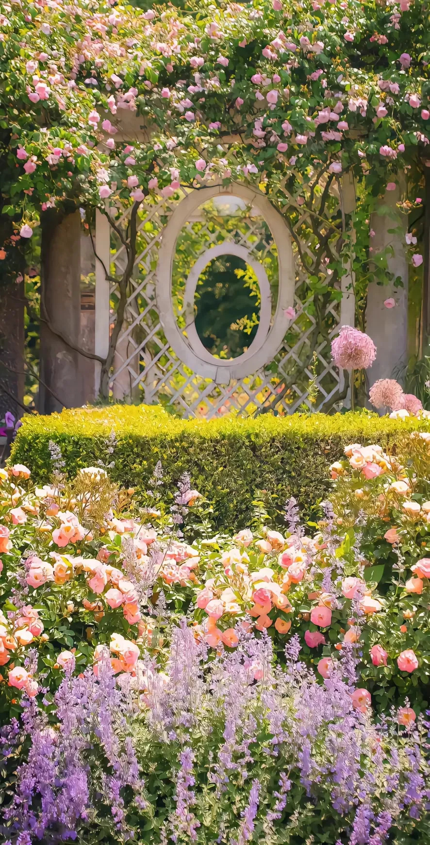 hình nền zalo đẹp, ý nghĩa