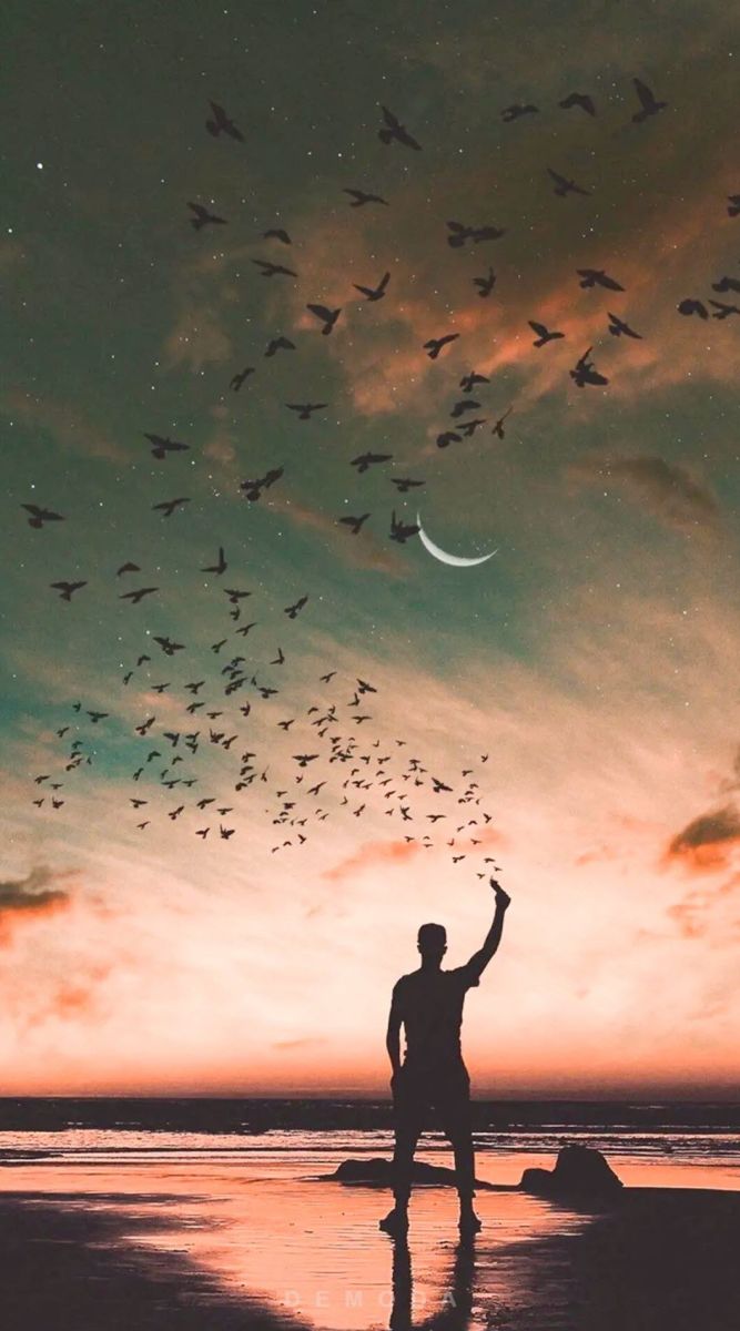 hình nền zalo đẹp, ý nghĩa