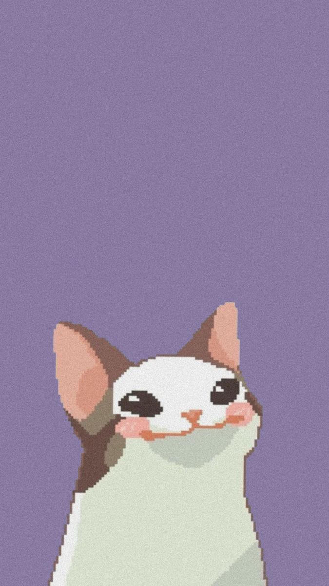 hình nền zalo vui vẻ, tích cực