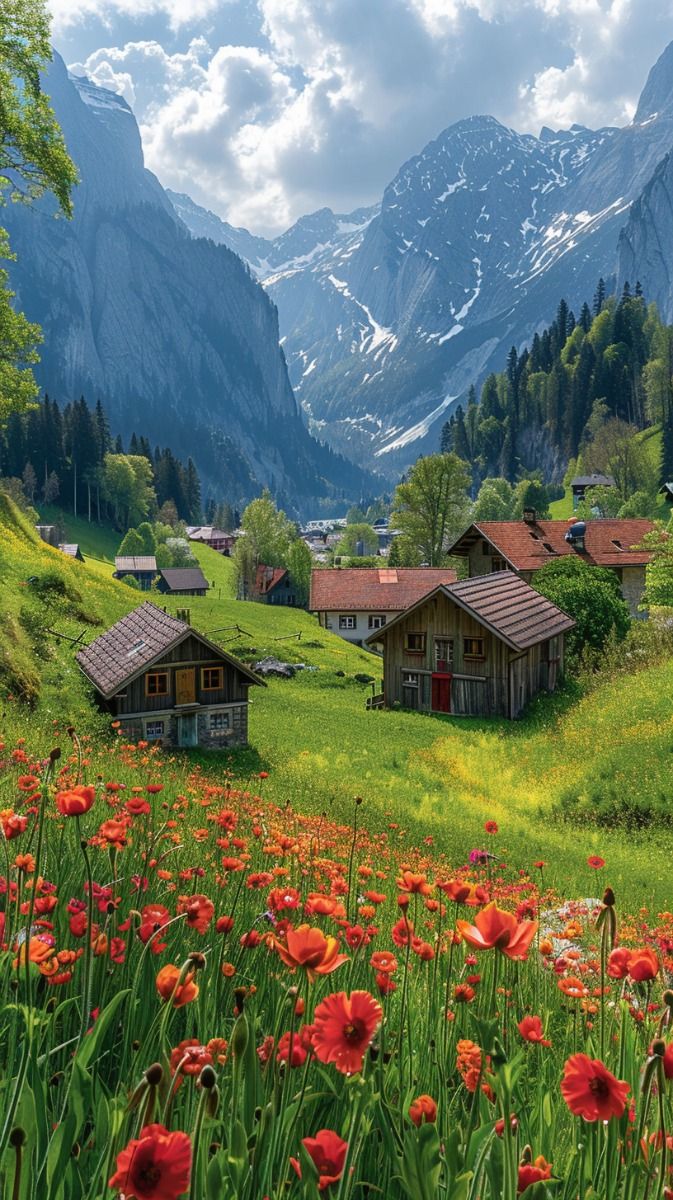 hình nền Zalo thiên nhiên đẹp