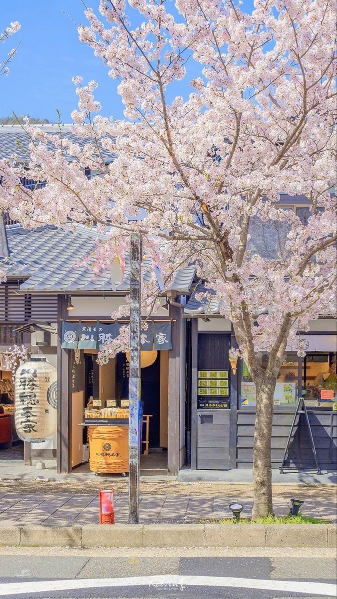 hình nền Zalo chủ đề đô thị, thành phố