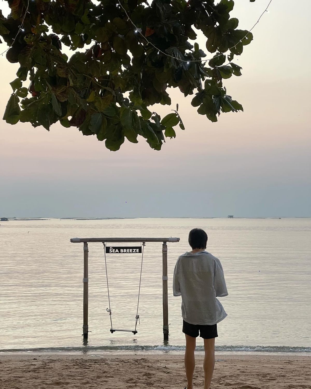 Tựa vai vào gió thả tâm hồn