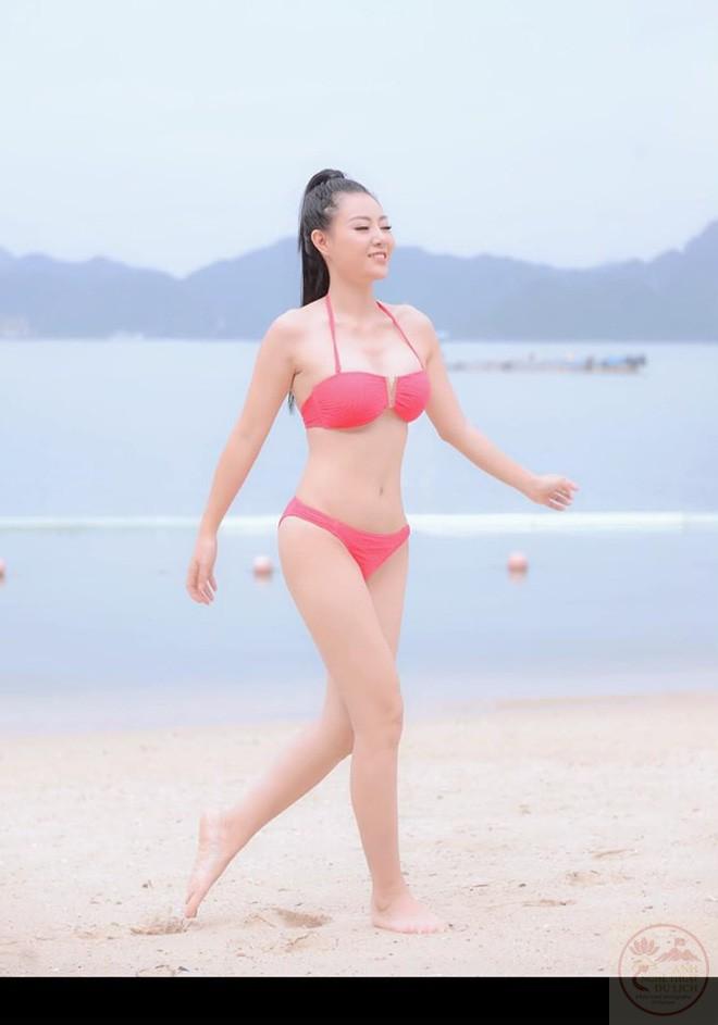 Bảo Thanh, Phương Oanh, Thanh Hương: 3 "nữ hoàng bikini" của màn ảnh Việt