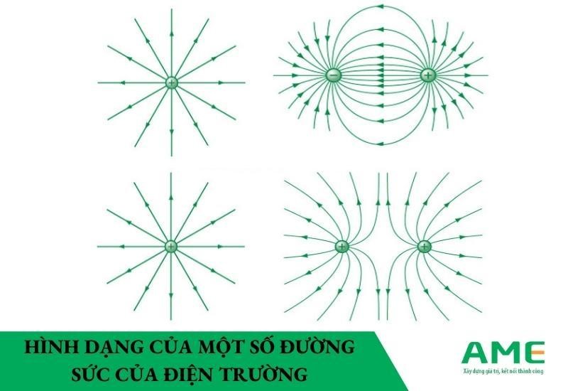 hình dạng của một số đường sức điện