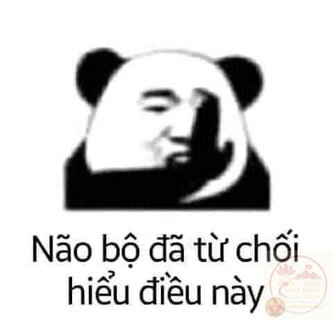 Meme từ chối hiểu