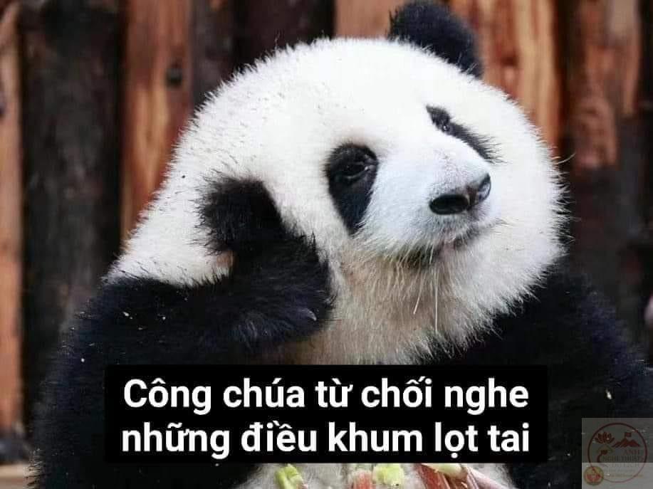 Khi nụ cười nửa miệng đi kèm ánh mắt né tránh, meme trở nên thú vị hơn nhiều
