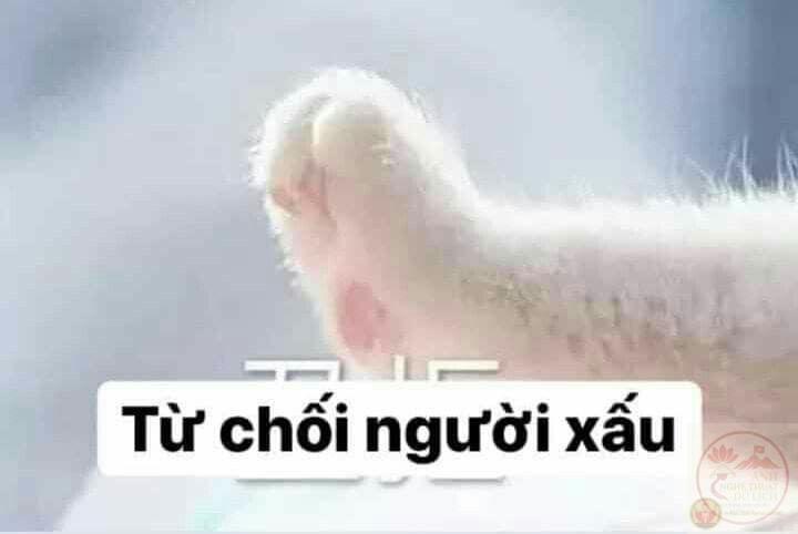 Sự lúng túng khi từ chối đã được biến thành tranh biếm đầy duyên dáng và gần gũi