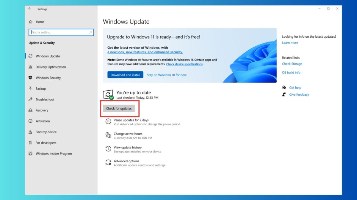 Cập nhật hệ điều hành và phần mềm