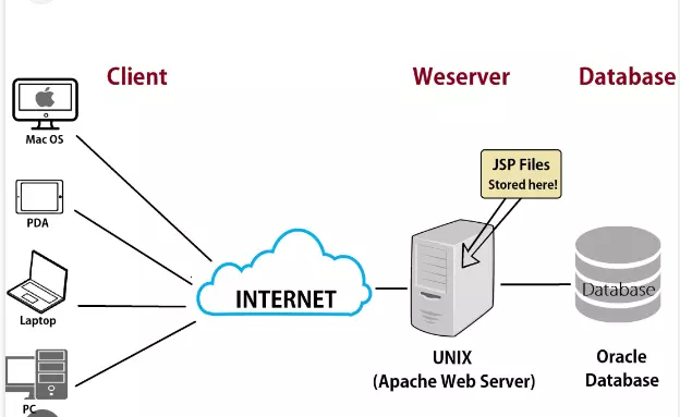 Web Server là gì? Tìm hiểu về Web Server