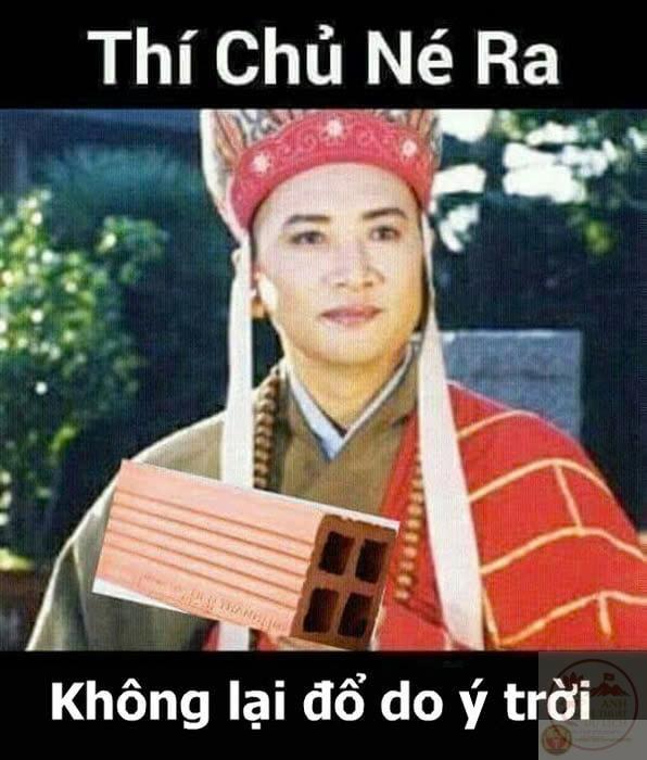 Ý trời không chỉ là than vãn, đó còn là cách chế giễu tình huống éo le