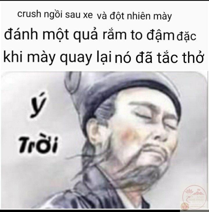 Meme đúng là ý trời