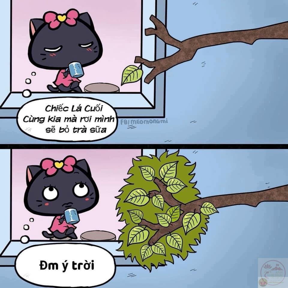 Tiếng cười bật ra giữa nghịch cảnh nghe như một lời than trách đầy hài hước