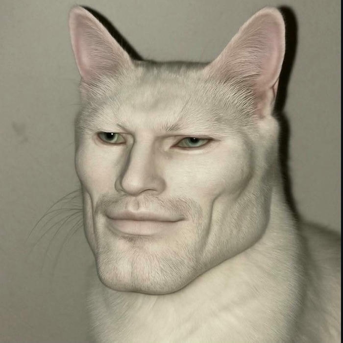 meme avatar hình vui vẻ hài