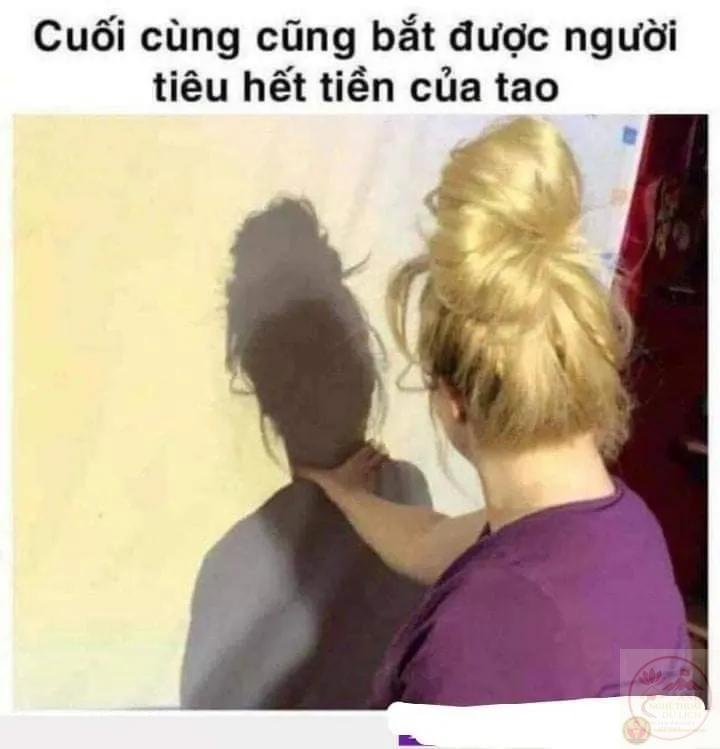 khoảng khắc bóp cổ chó troll bá đạo