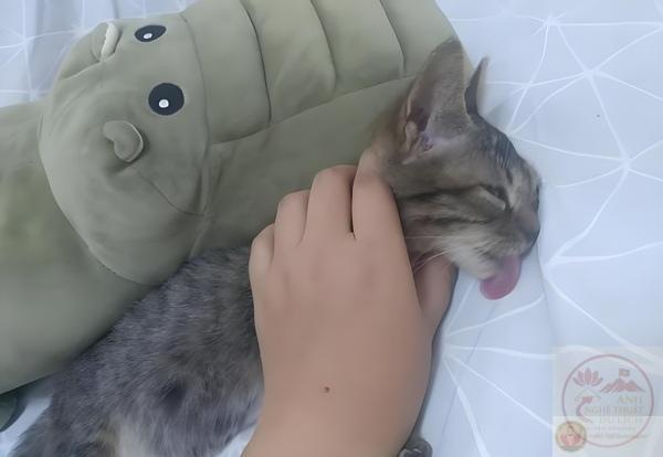 reaction bóp cổ troll cực chất