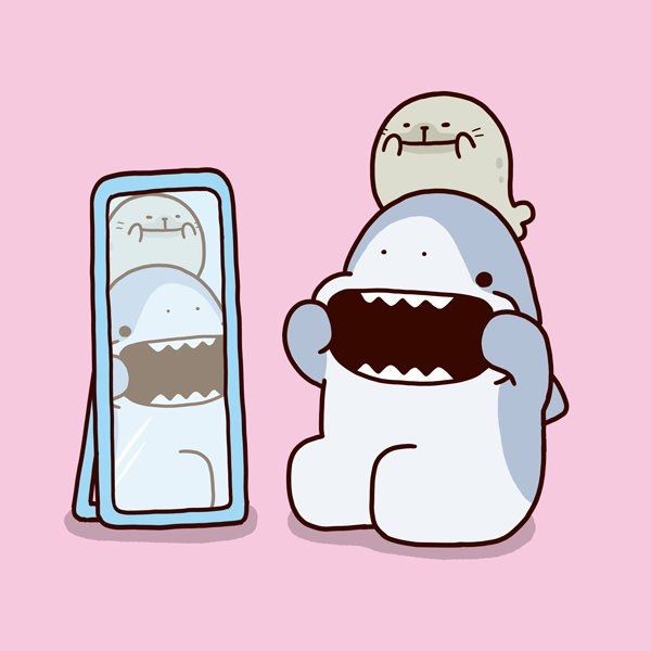 hình cá mập hài hước