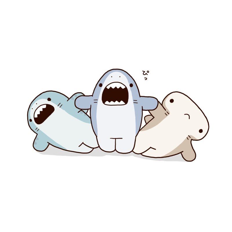 hình cá mập kute