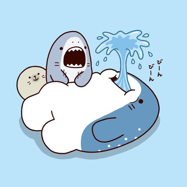 shark cute wallpaper