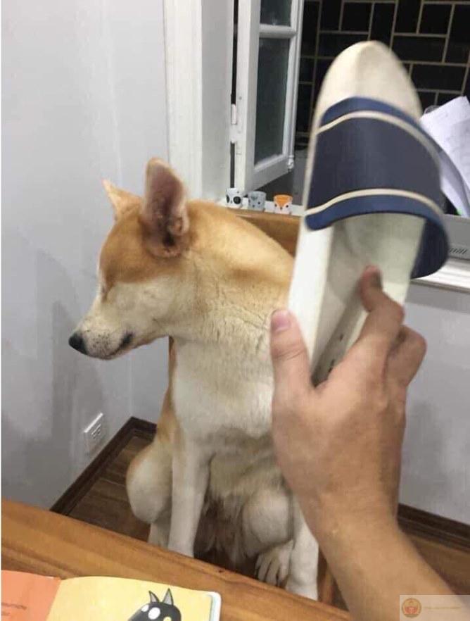 Im đi, dép mẹ đã được kích hoạt rồi