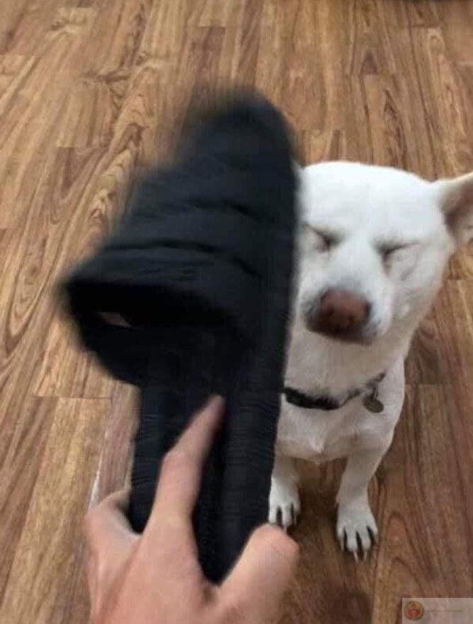 Mỗi khi dép được nhấc lên là yên tĩnh