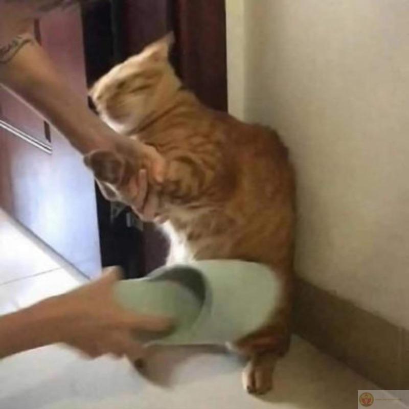 Cầm dép thôi chứ có ai nói đánh đâu