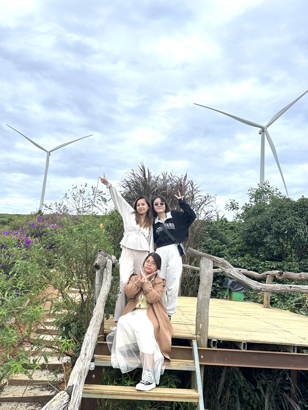 cánh đồng điện gió