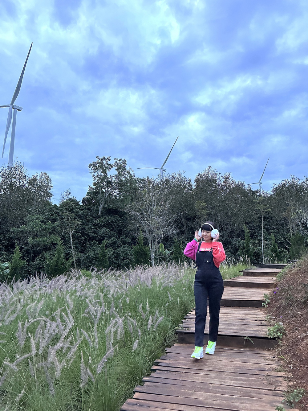 cánh đồng điện gió