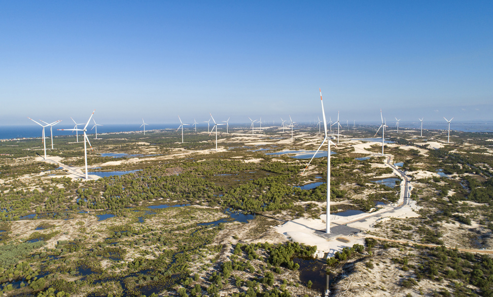 cánh đồng điện gió