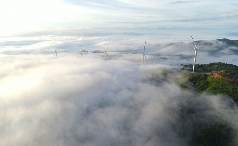 Khám phá những cánh đồng điện gió đẹp nhất Việt Nam