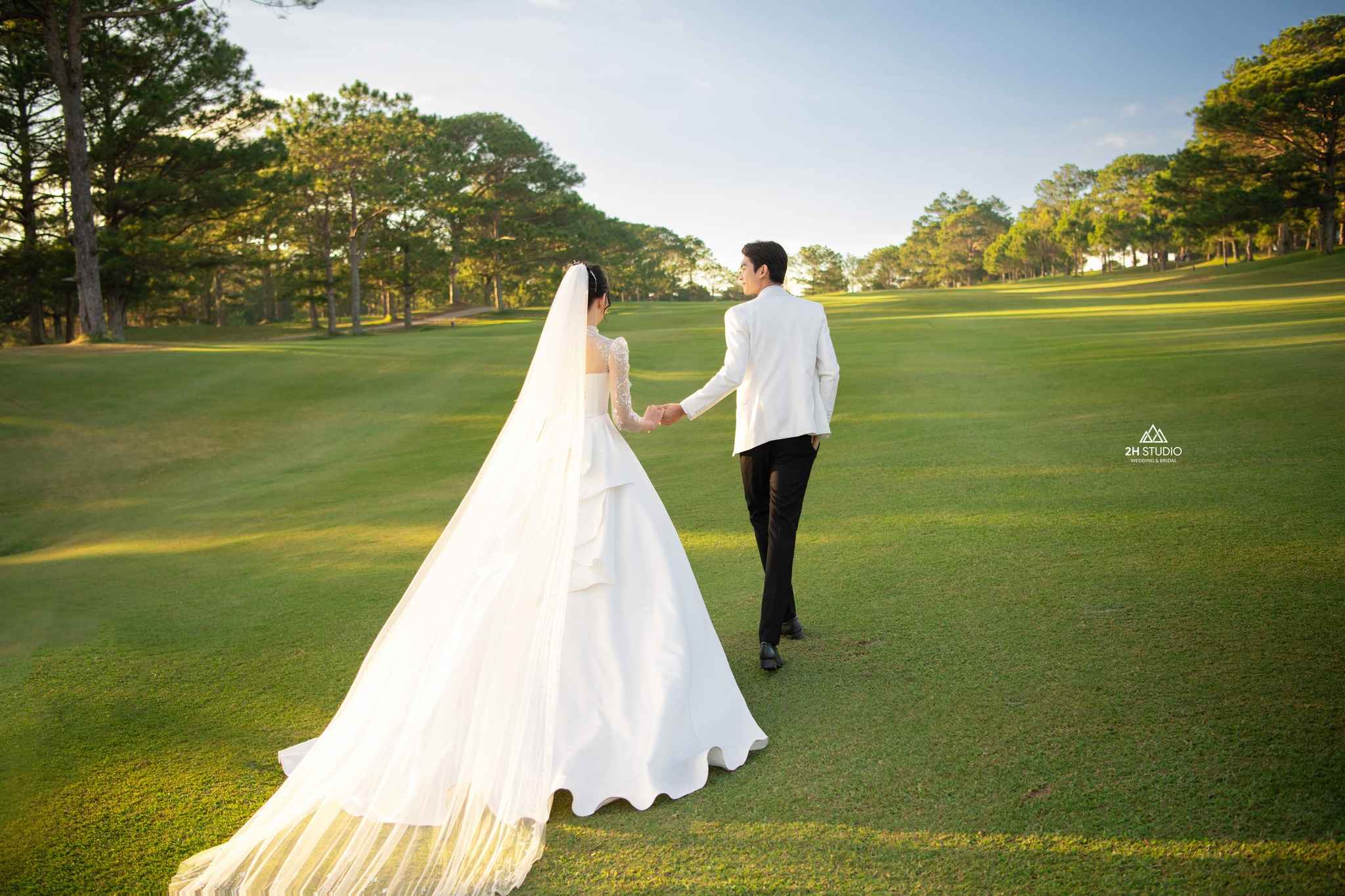 Màu xanh bầu trời hòa đồng cỏ tạo bức ảnh tuyệt đẹp