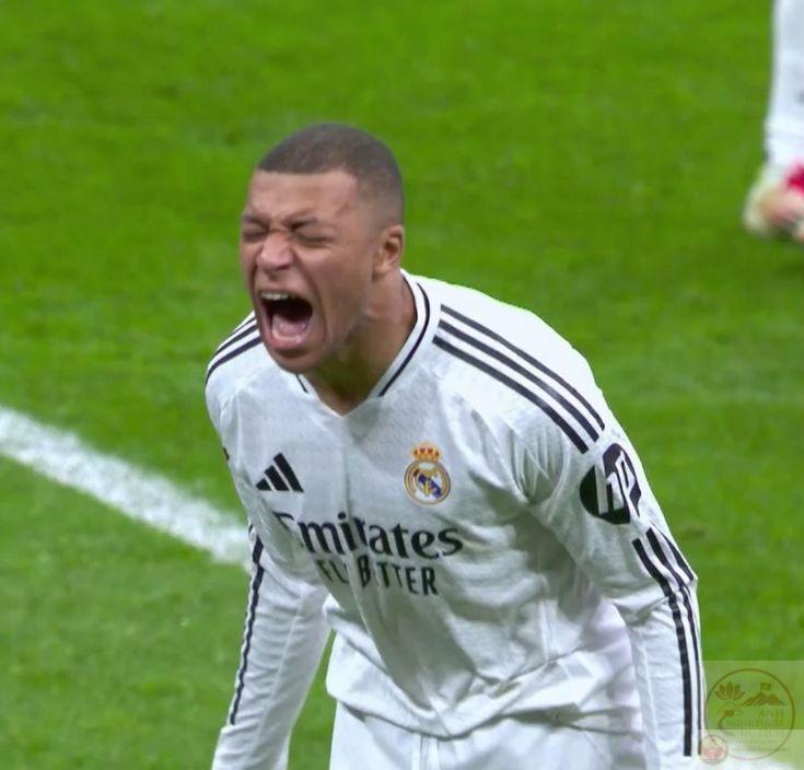 Biểu cảm dí dỏm khẳng định sự gần gũi vốn có trong ảnh chế thường ngày