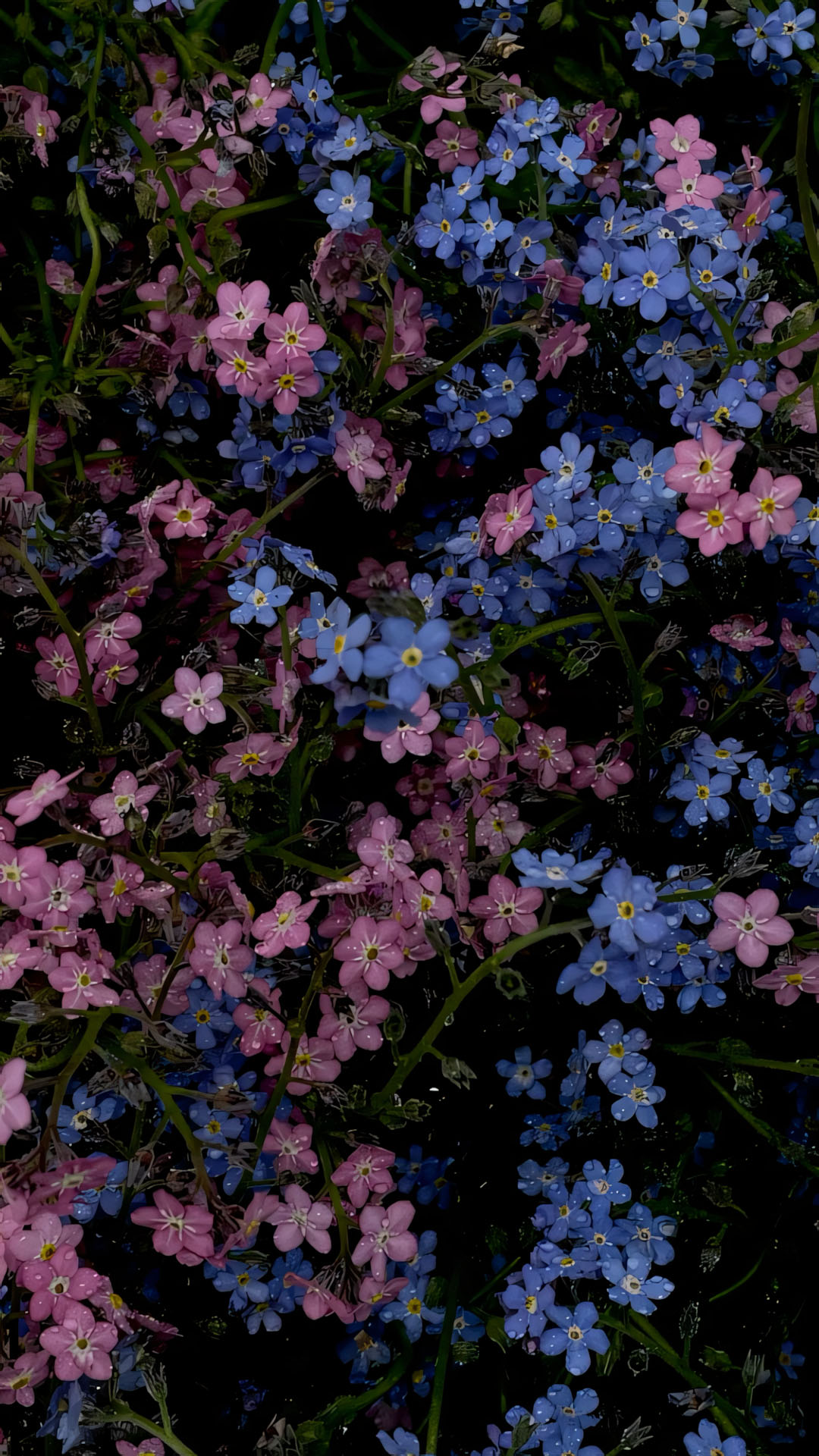 anh nen chill chill hoa buon 1920px 1080px full hd 4