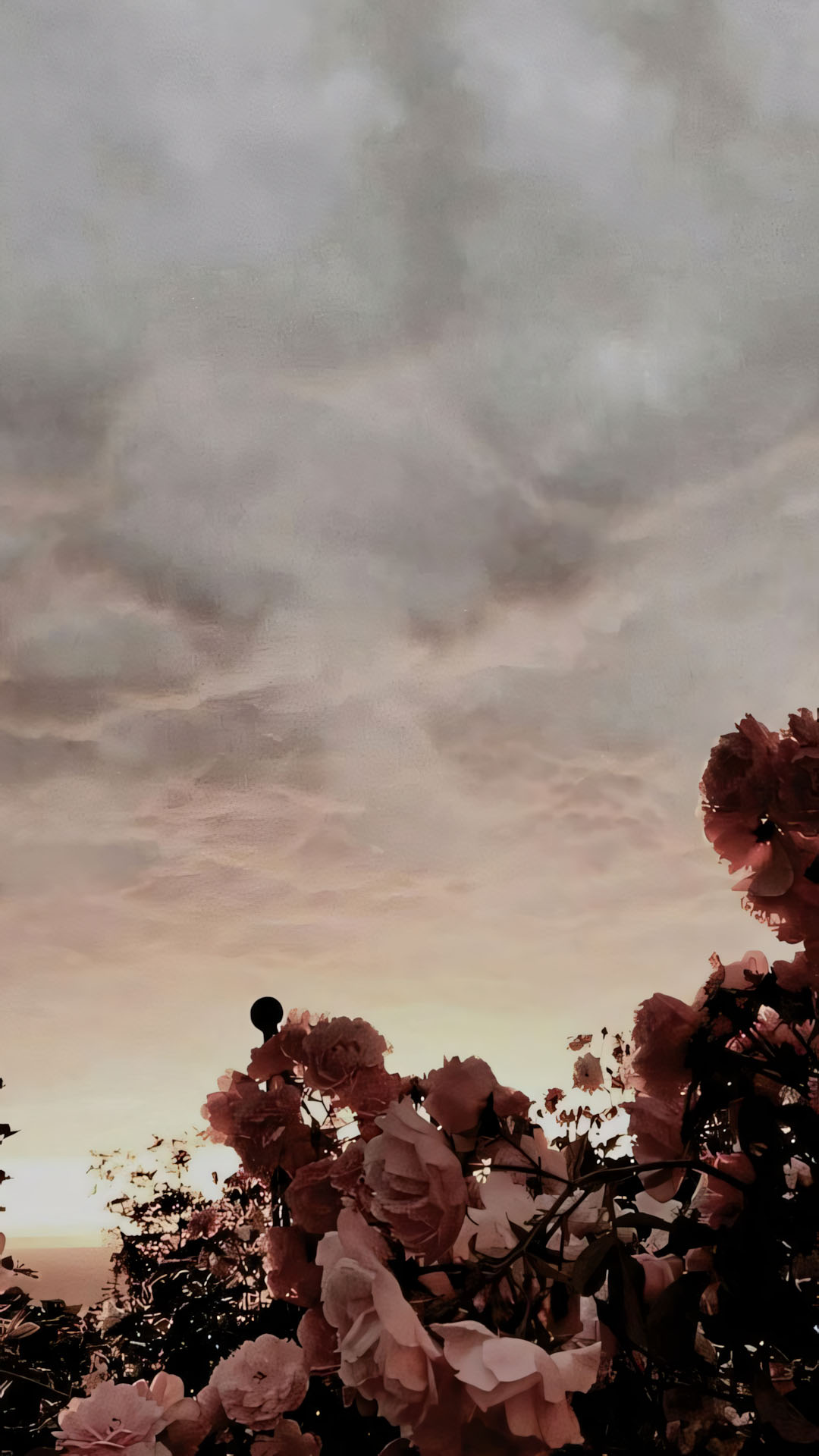 anh nen chill chill hoa buon 1920px 1080px full hd 14