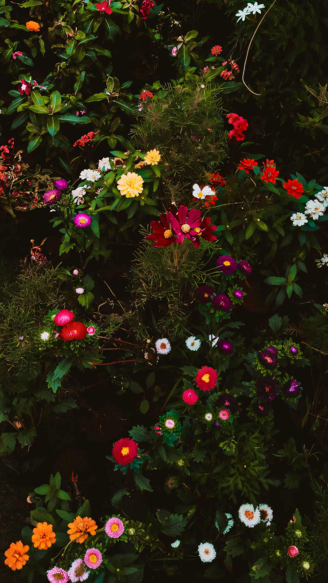 anh nen iphone chill hoa buon 1920px 1080px full hd 11