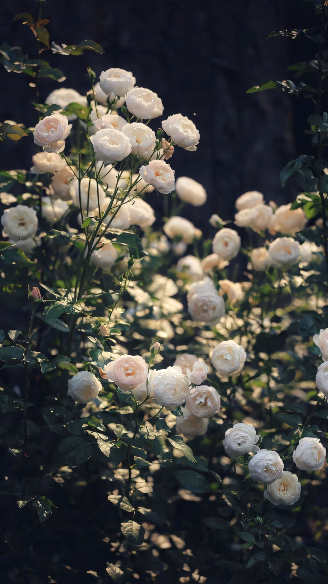 phong canh anh chill hoa buon 1920px 1080px full hd 9