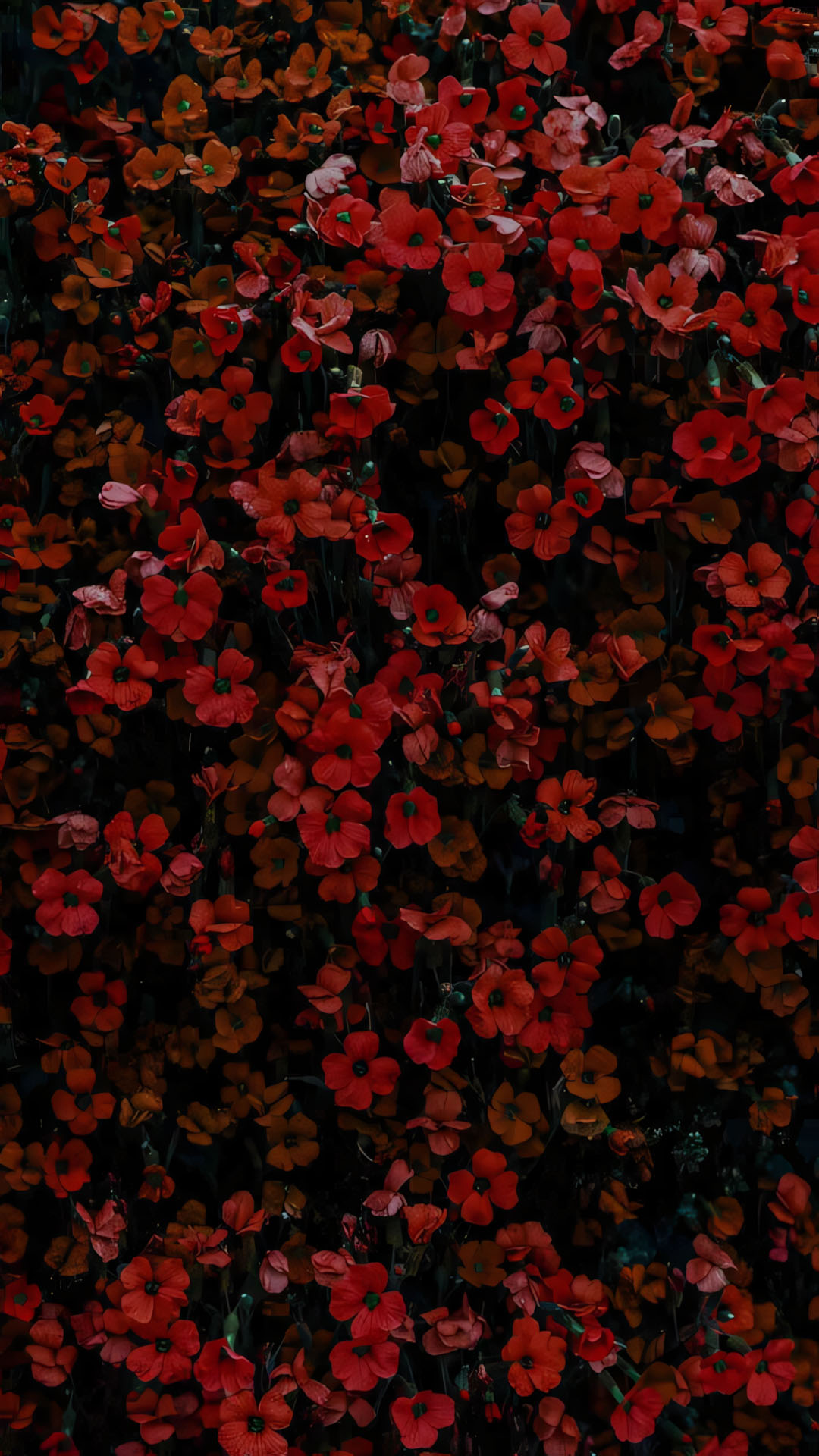 phong canh anh chill hoa buon 1920px 1080px full hd 4