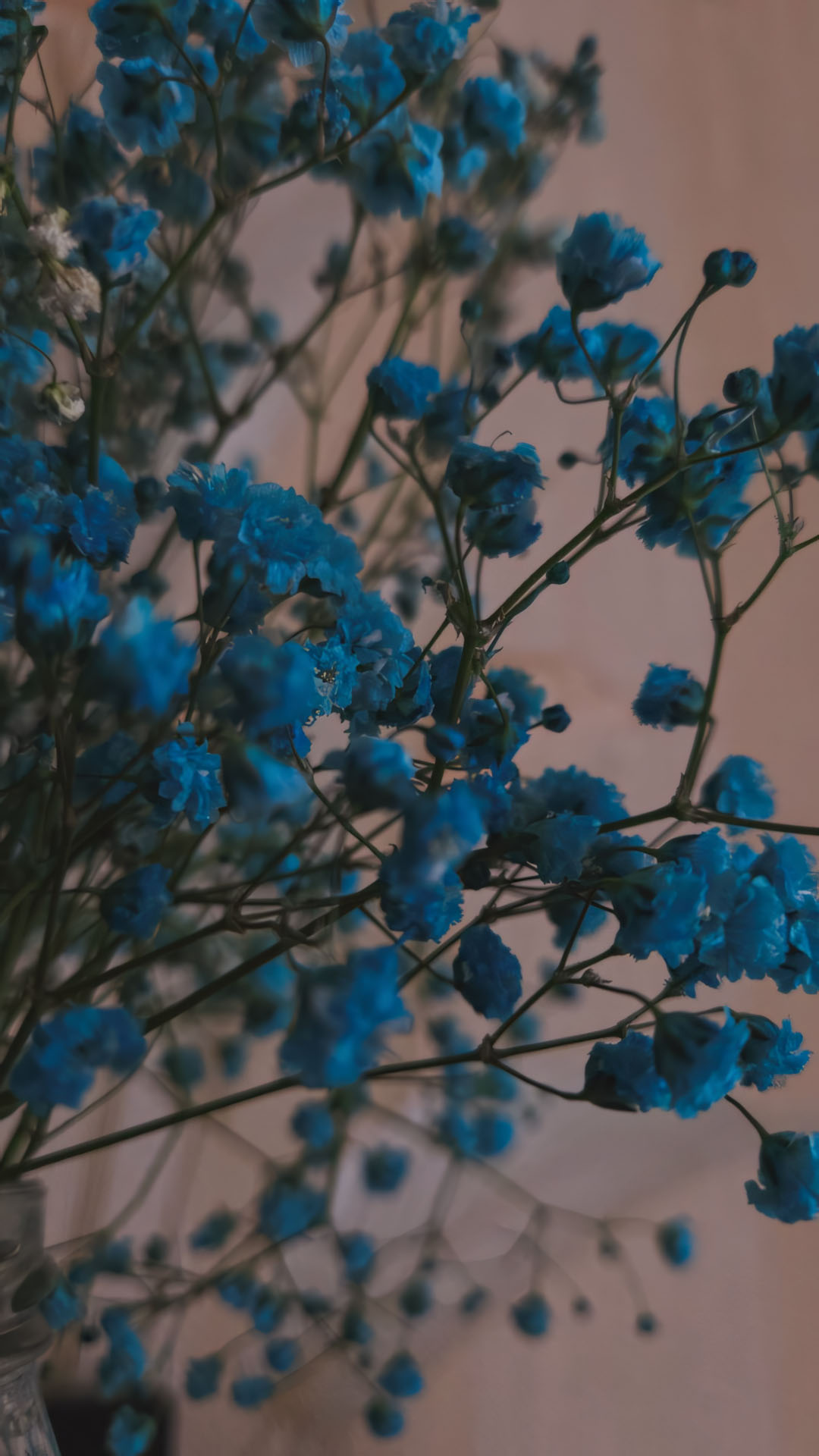 anh nen chill chill hoa buon 1920px 1080px full hd 6