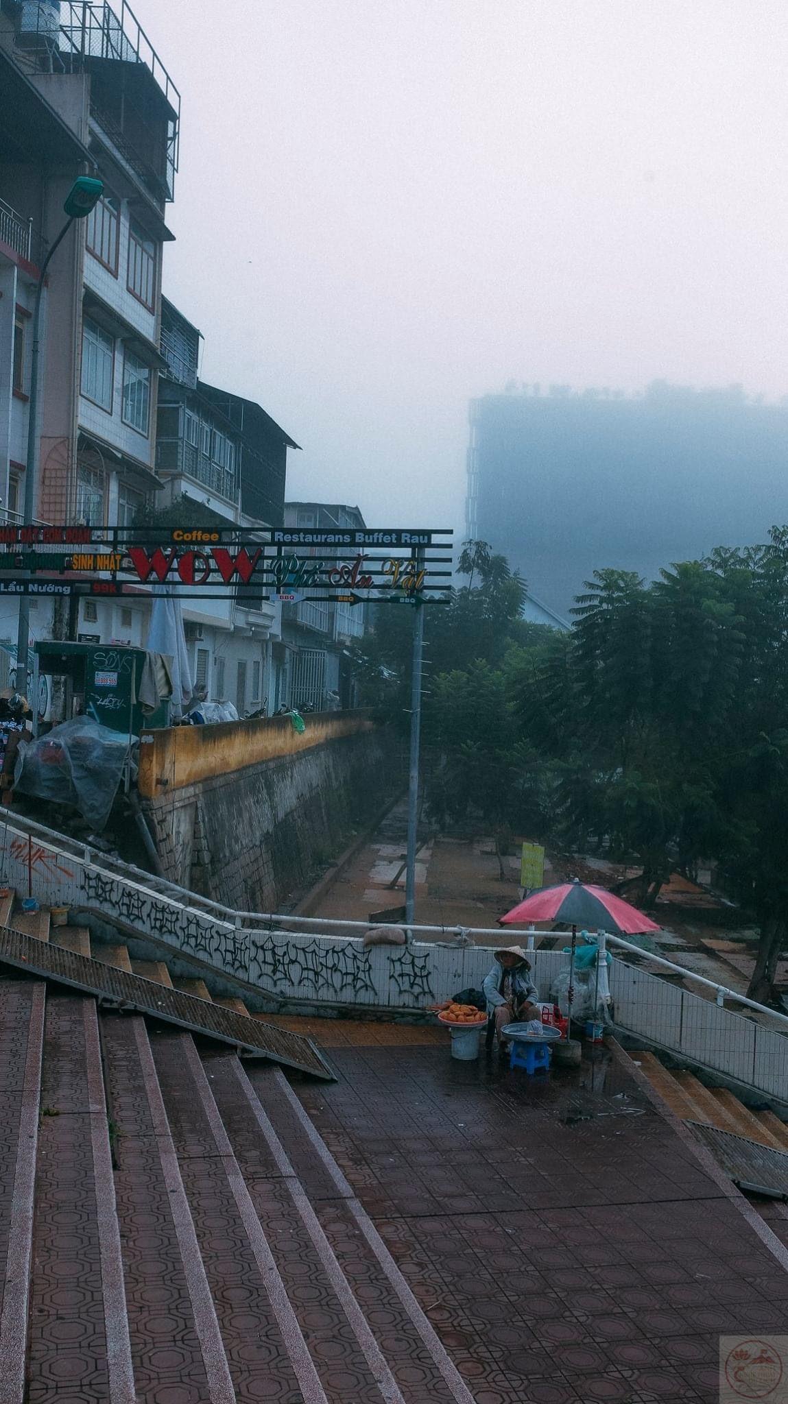 Ánh nhìn hiền hòa đem lại sự nhẹ nhõm cho tâm trí nhiều lo âu