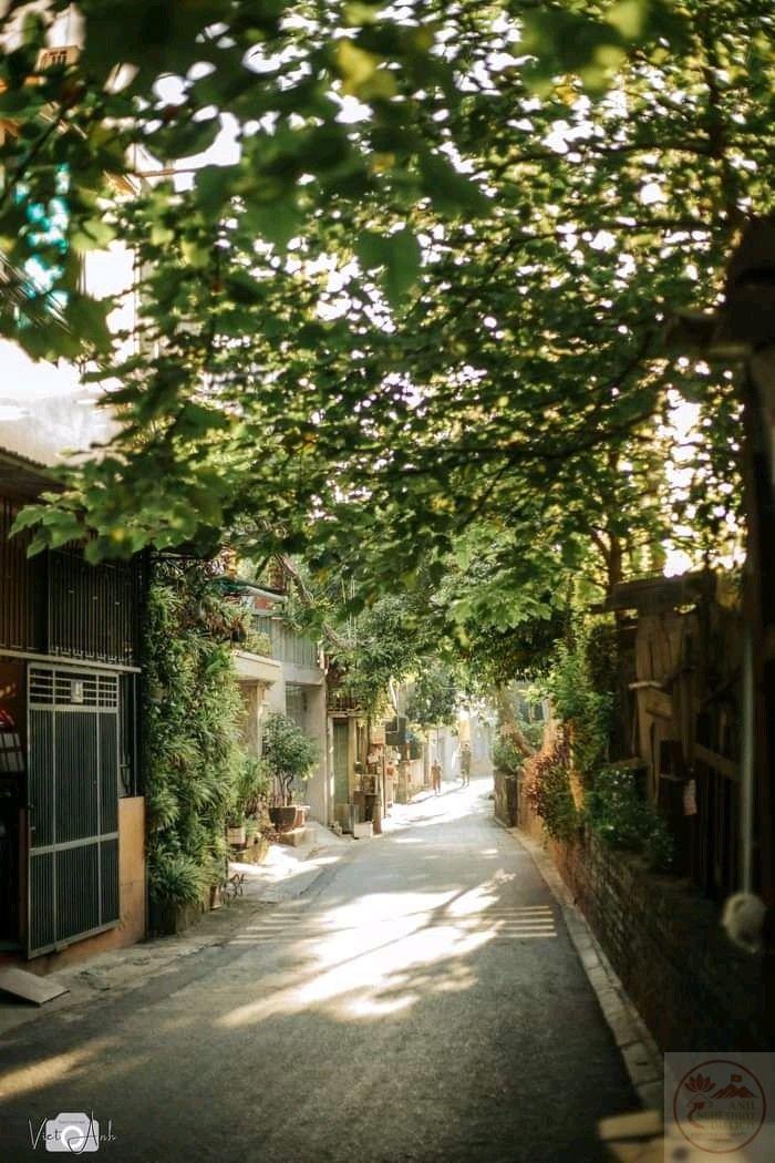 Hành trình lặng lẽ vẫn chứa đựng nhiều cảm xúc đáng trân trọng