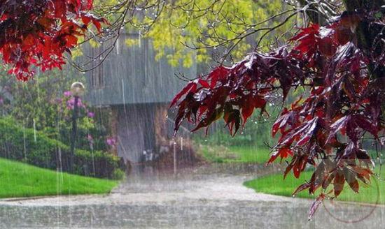 Nét giản dị thanh thoát khơi gợi sự lắng đọng trong từng cảm xúc nhỏ